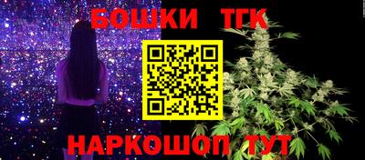 jwh Гатчина