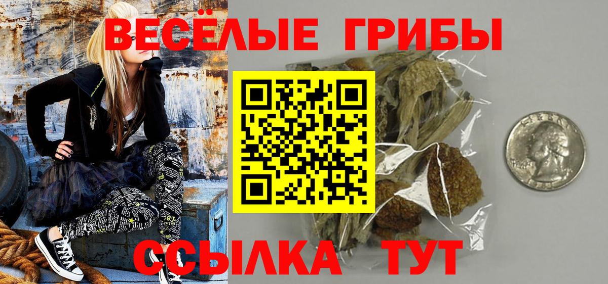 Галлюциногенные грибы прущие грибы Белово