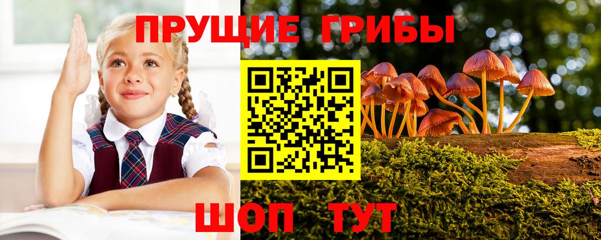 Псилоцибиновые грибы Psilocybe  Галлюциногенные грибы Cubensis  Белово  Вход с VPN 